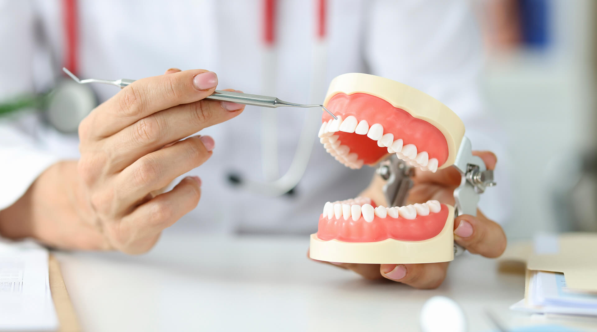 best dentist in dallas